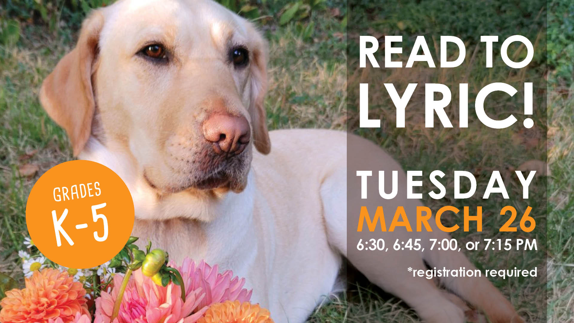 For Children Cary Library