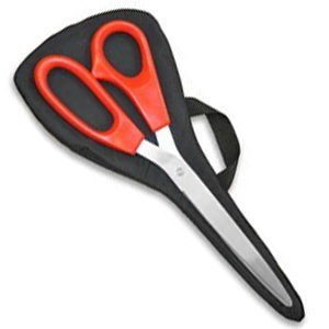 Ribbon Cutting Scissors